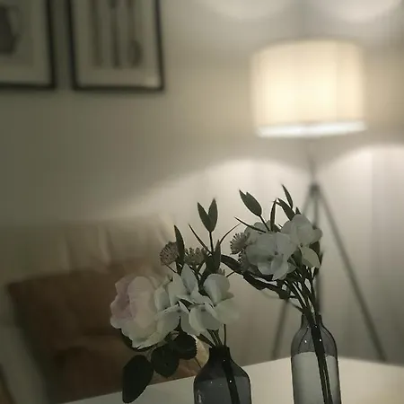 Tiny Apartment Spring Dresda Esterno foto